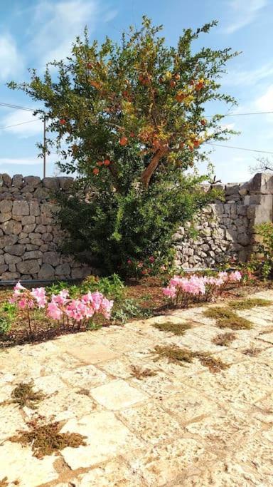 Trullo Mami Villa Putignano Exterior foto