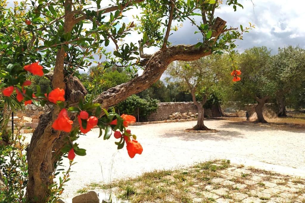 Trullo Mami Villa Putignano Exterior foto